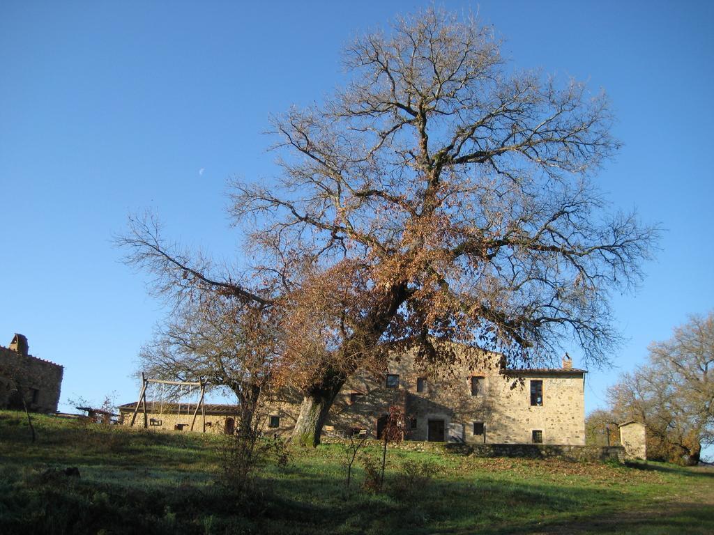 Agriturismo Il Casalino Пари Экстерьер фото